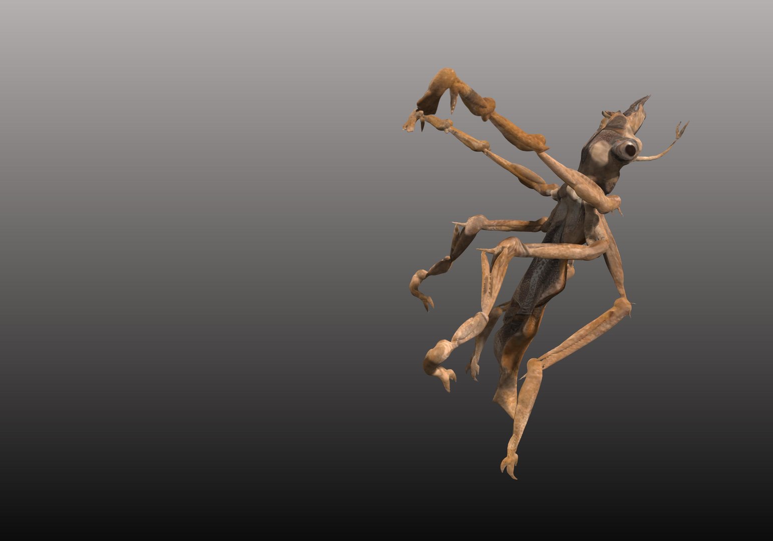 free obj model 3dcoat https://p.turbosquid.com/ts-thumb/tb/Smrq1y/nbGsZUZu/000004/jpg/1414594322/1920x1080/fit_q87/3903dc6563f1e444057977bb47643d765260cf9a/000004.jpg