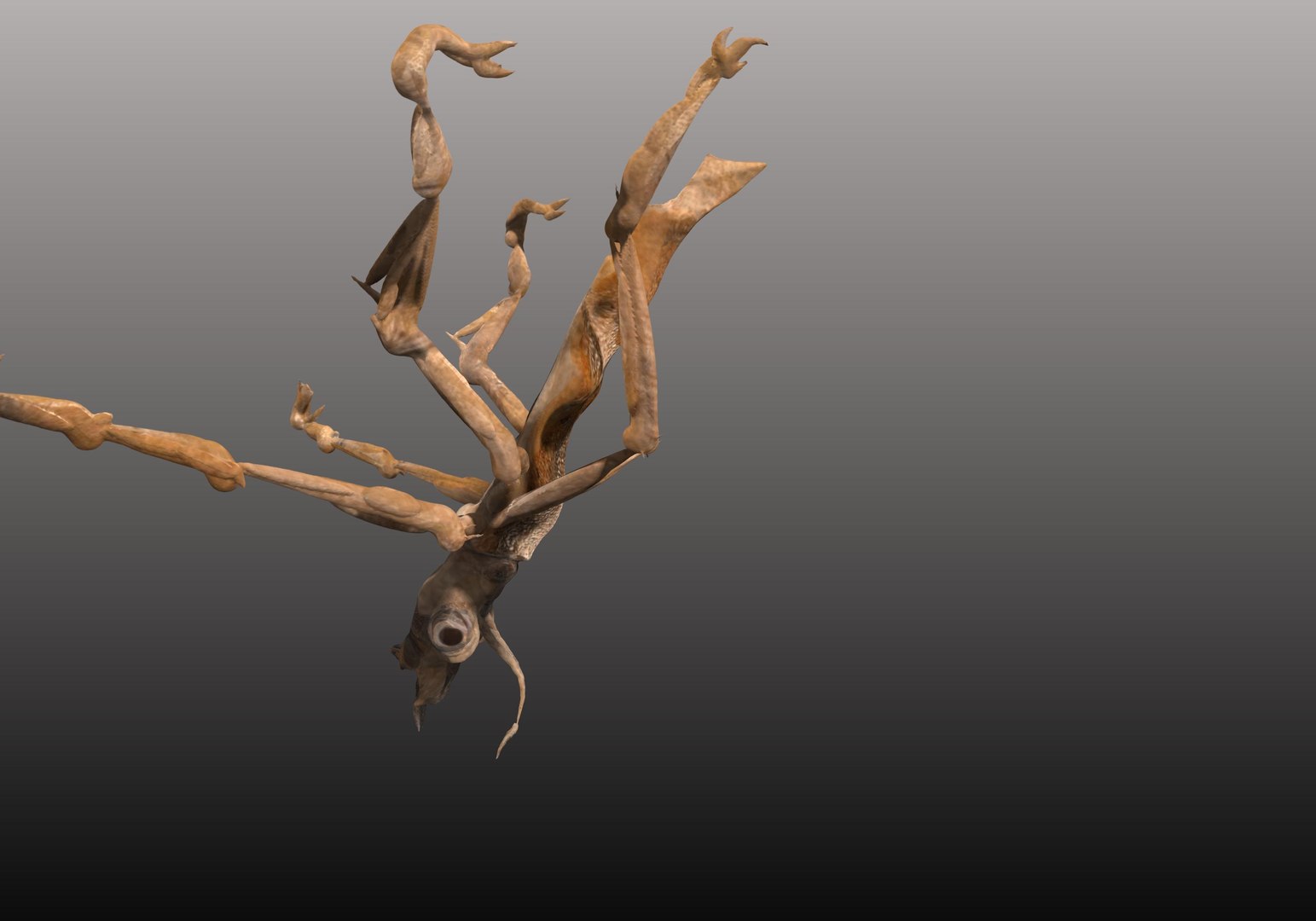 free obj model 3dcoat https://p.turbosquid.com/ts-thumb/tb/Smrq1y/xgOa7vSL/4/jpg/1414594322/1920x1080/fit_q87/5f0a62b241ae4c8376c1ac5a00a7db58621377e9/4.jpg