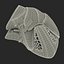 Hockey Goalie Catcher Glove Reebok