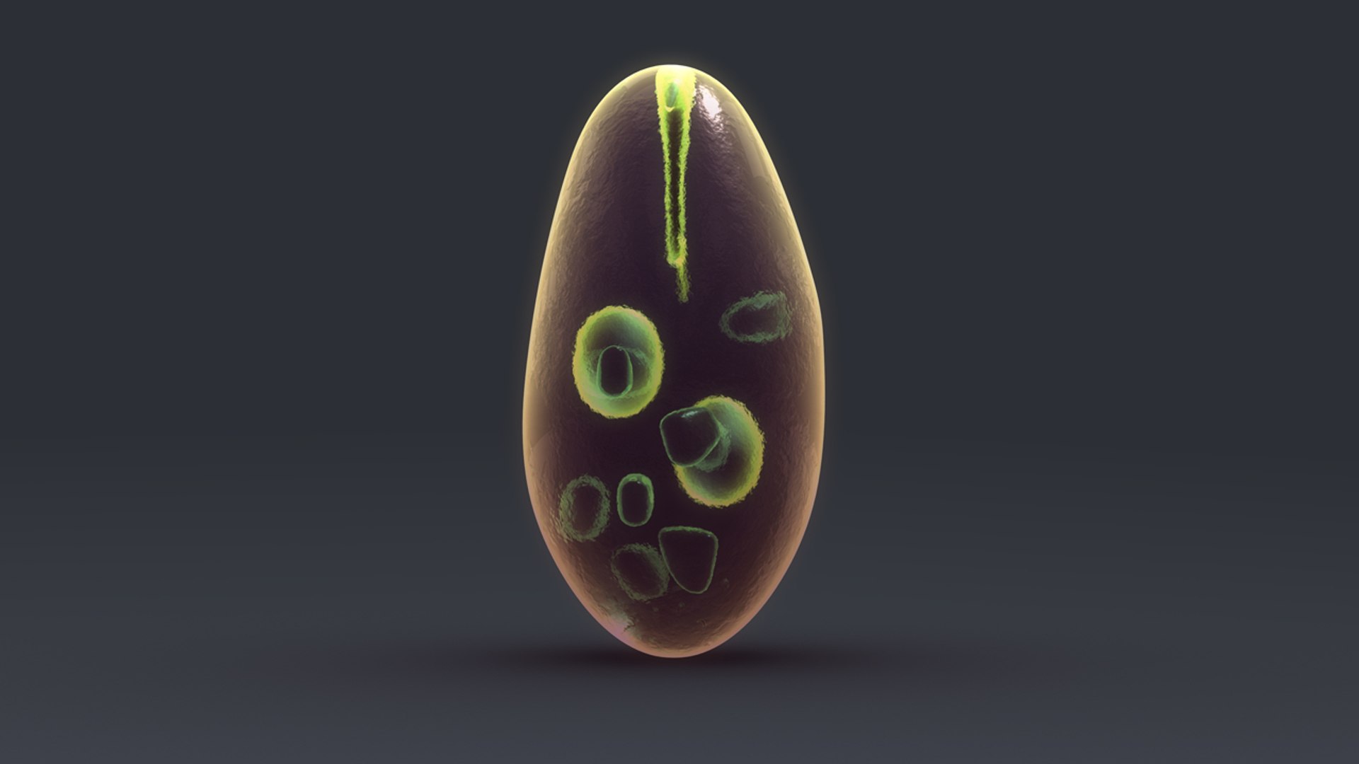 nosema bombycis 3d model https://p.turbosquid.com/ts-thumb/tb/VKf1uV/OjxfO19q/b0520nosemabobycis_back.0001/jpg/1476368284/1920x1080/fit_q87/fa02f44aab143ed9a5d01b540a51637acc63636d/b0520nosemabobycis_back.0001.jpg