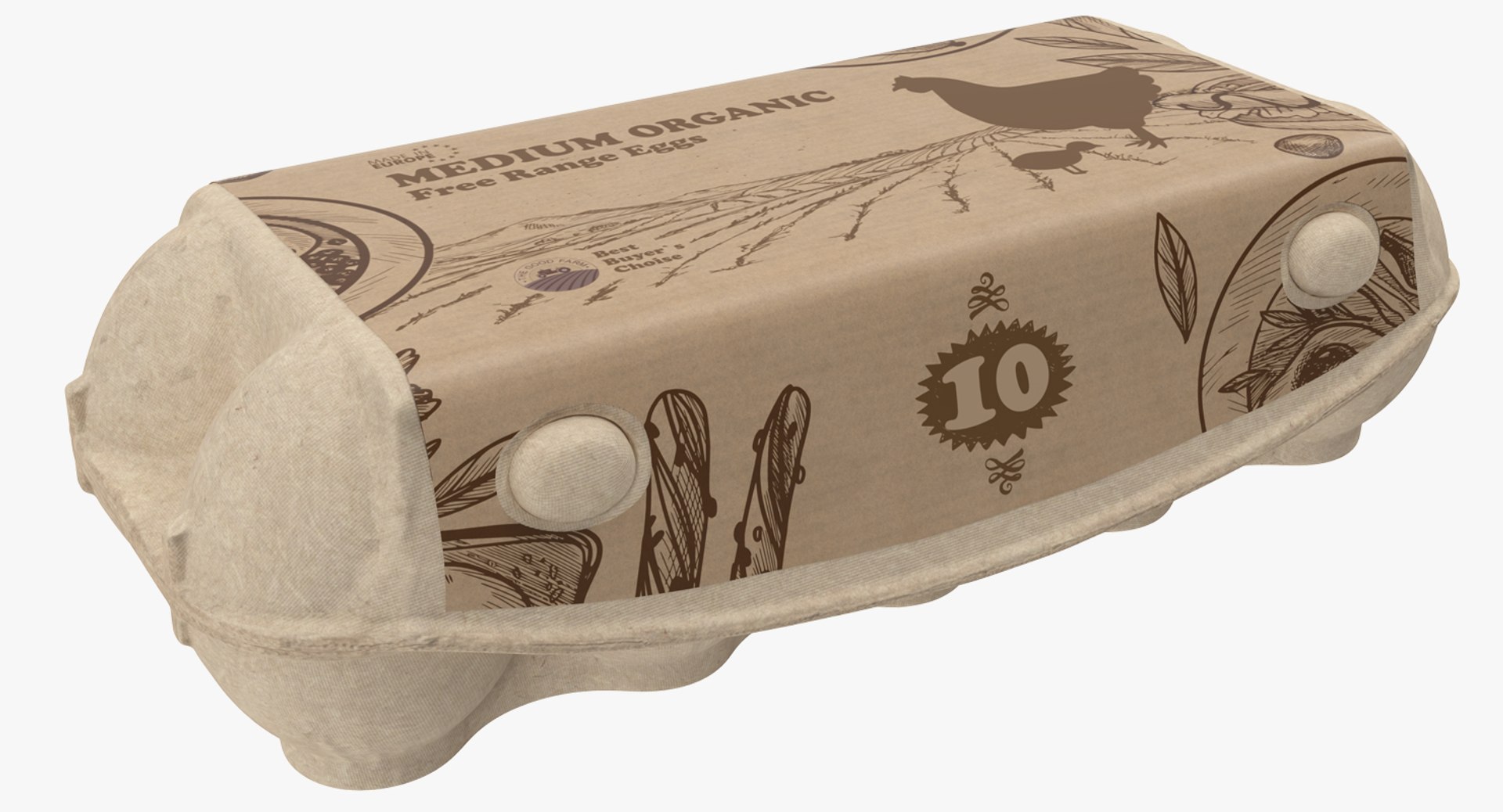 Ten Eggs Carton Package Closed 3D model preview