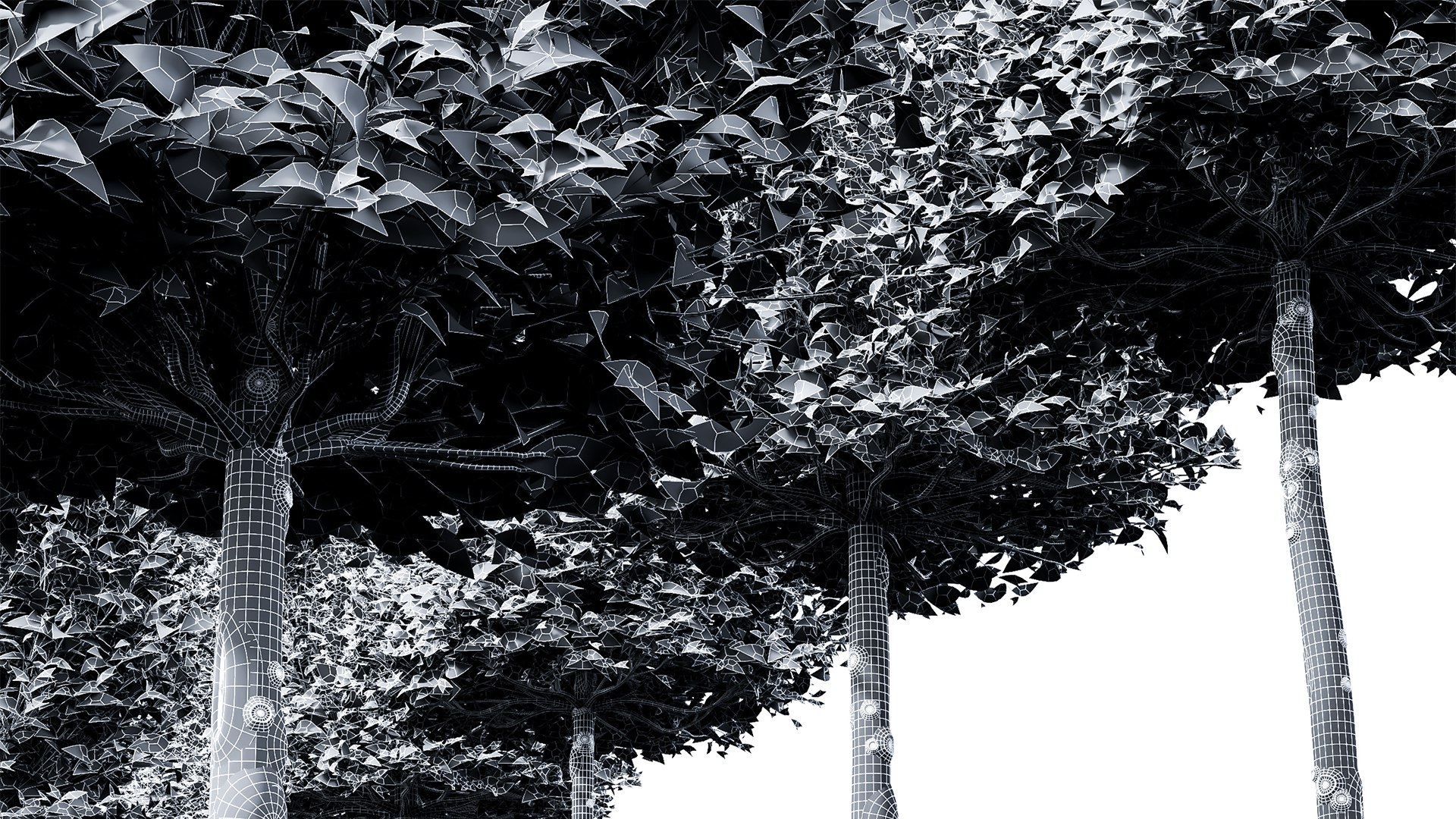 3D New Tree High Detail Carpinus Betulus Broadleaf Box B - TurboSquid ...