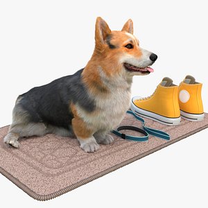 Tricolor Corgi Sitting with Leash on Doormat Fur