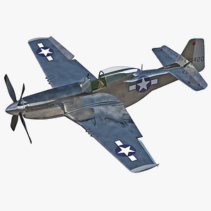Aircraft North American P-51 Rigged