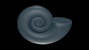 Ammonoid shell subevolute and compressed Cantabricanites 3D model