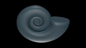 Ammonoid shell subevolute and compressed Cantabricanites