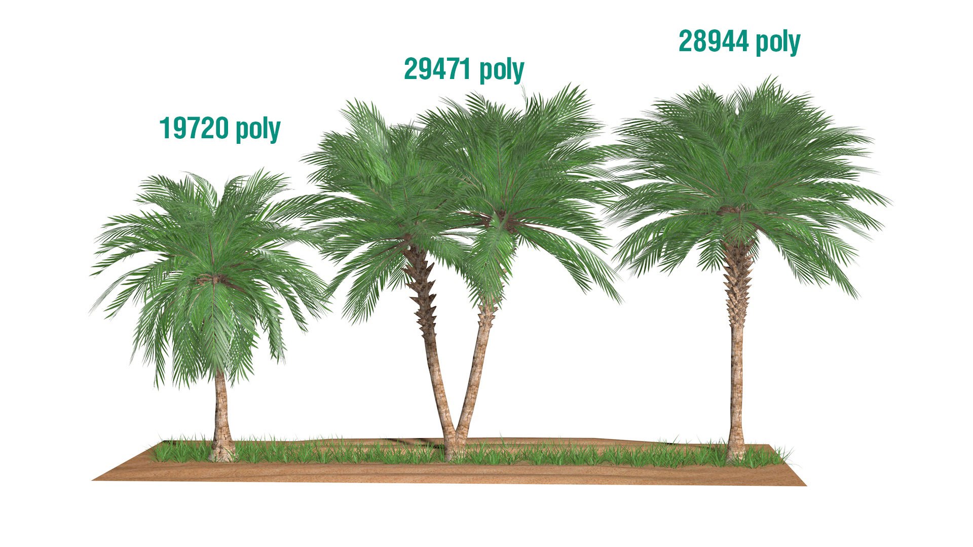 Three palms set model - TurboSquid 1775627