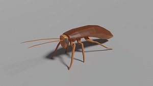 Low-poly Roach model