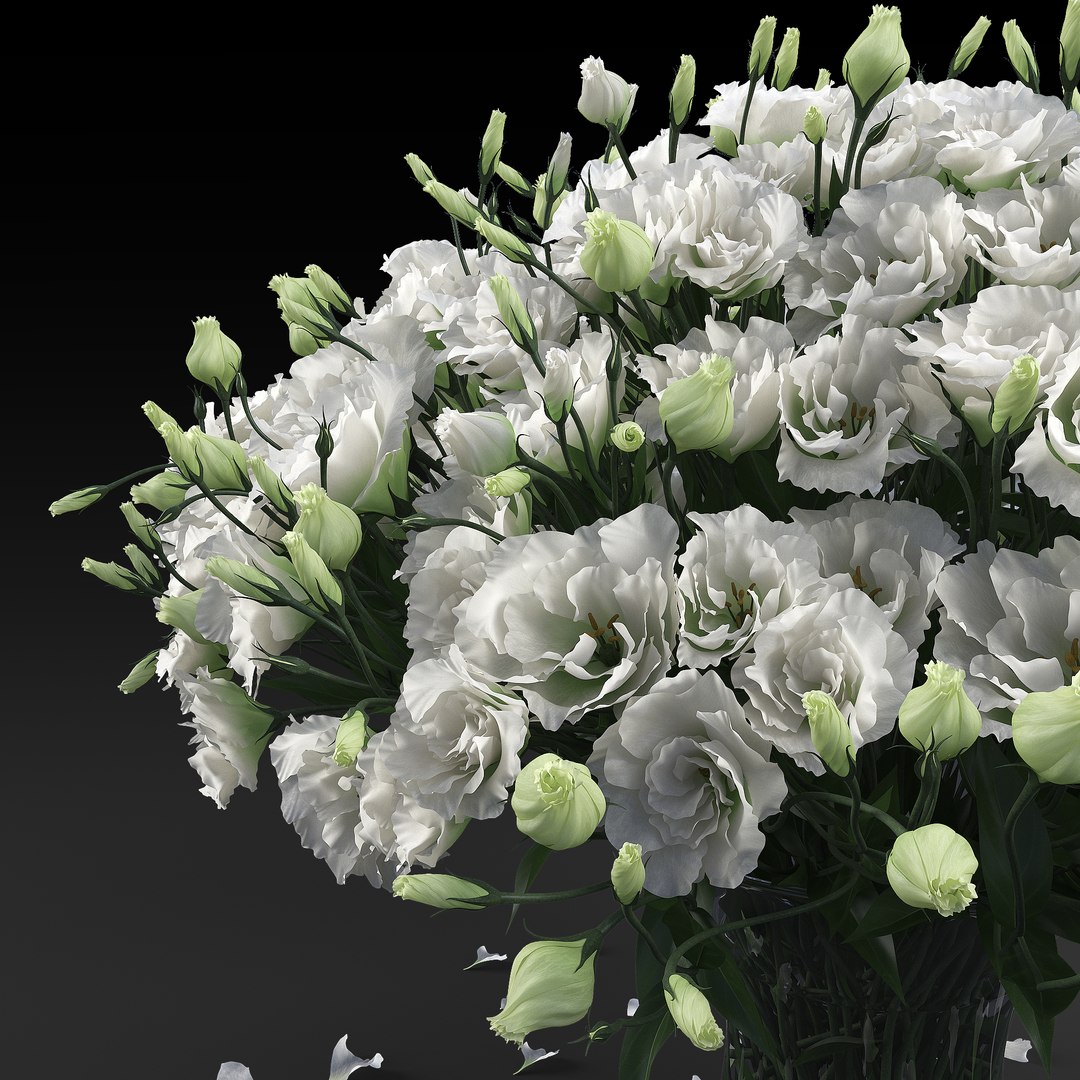 3D eustoma https://p.turbosquid.com/ts-thumb/tc/4tN2TF/2Dv7fz3A/preview5/jpg/1538215733/1920x1080/fit_q87/3aaff6ba1c5f1a09d75752cbf58b7def33c3d9ec/preview5.jpg