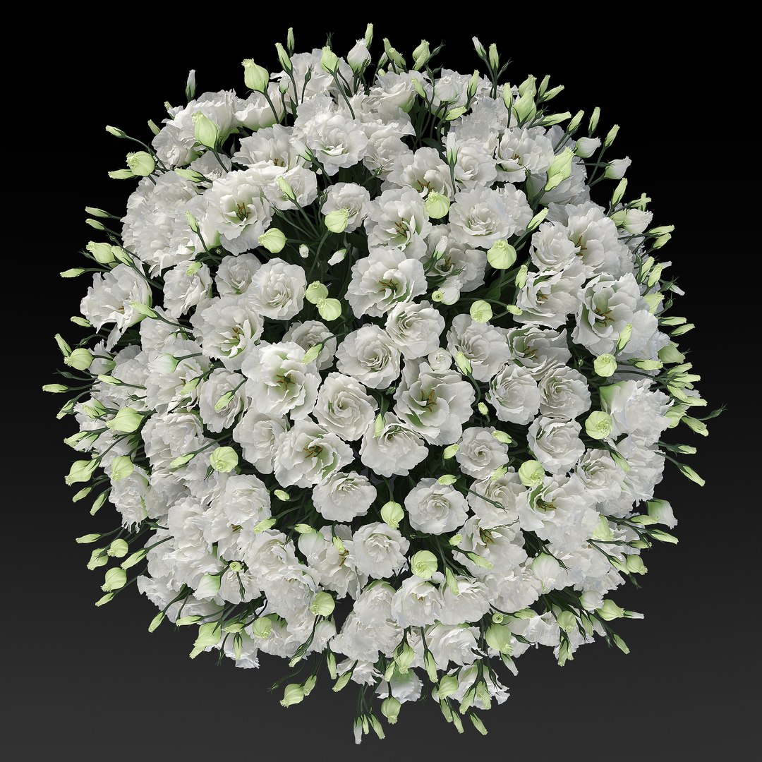 3D eustoma https://p.turbosquid.com/ts-thumb/tc/4tN2TF/kcCUhEwh/preview3/jpg/1538215733/1920x1080/fit_q87/80d0df1211ed14a89ce36a5756308692d589bbe6/preview3.jpg
