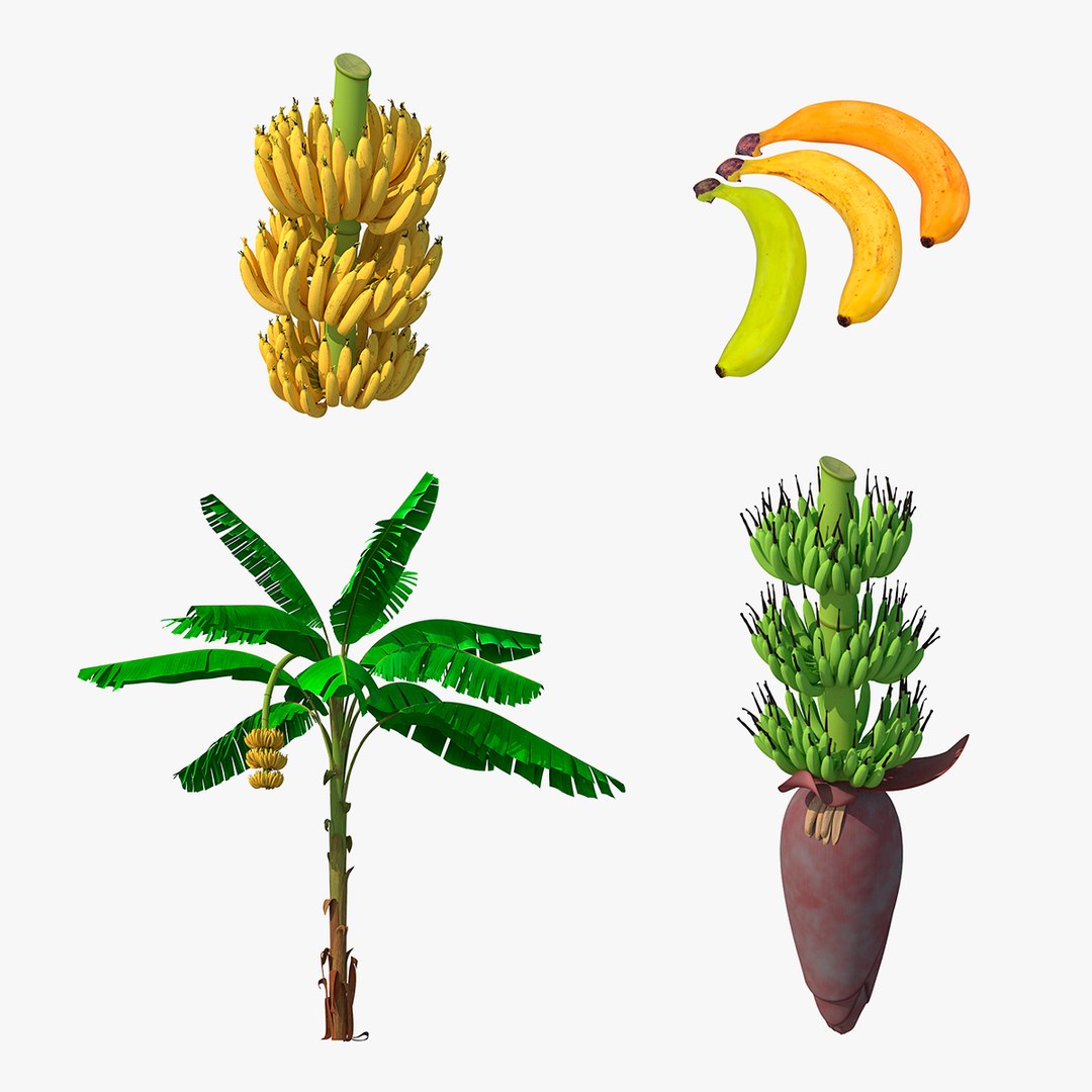 Bananas Collection 2 3D model preview