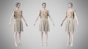 Dress 20 Abstract Tribal Stripe 3D