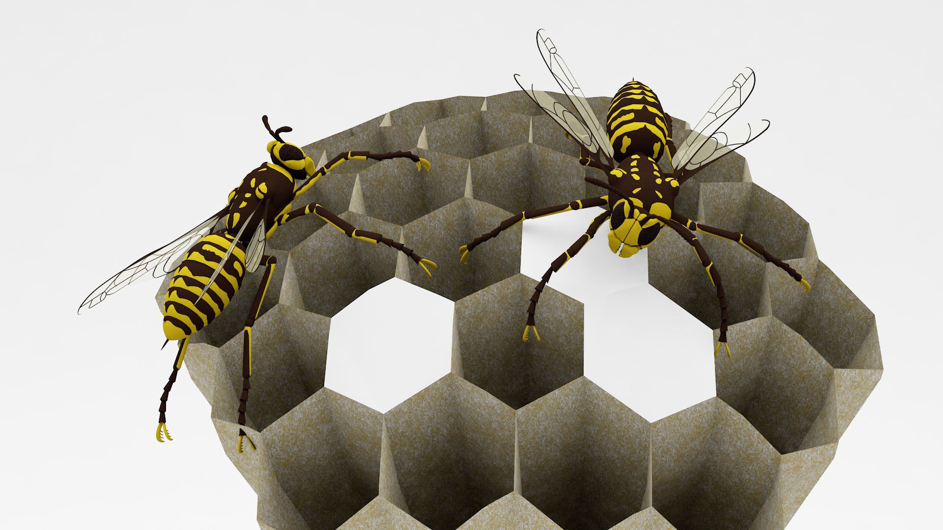 Wasp Nest 3D model - TurboSquid 2037665