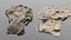 Holy Limestone Rock Scan