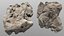 Holy Limestone Rock Scan