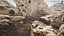 Holy Limestone Rock Scan