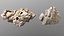 Holy Limestone Rock Scan