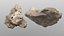 Holy Limestone Rock Scan