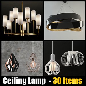 Ceiling Lamp - 30 Items 3D model
