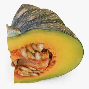 Asian Pumpkin Slice