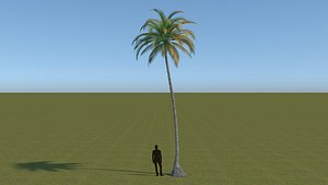 64 trees plants
