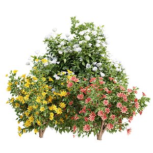 3D Flowering Bushes Vol 350