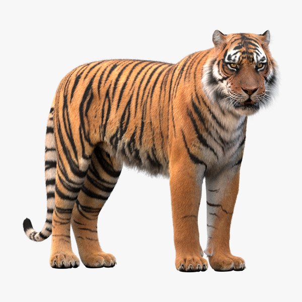 realistic rigged tiger fur 3d max