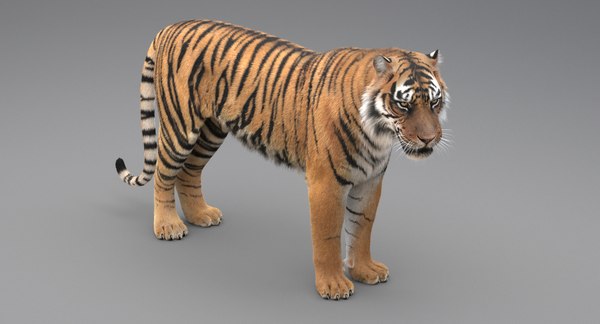 realistic rigged tiger fur 3d max