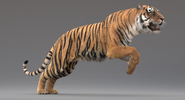 realistic rigged tiger fur 3d max