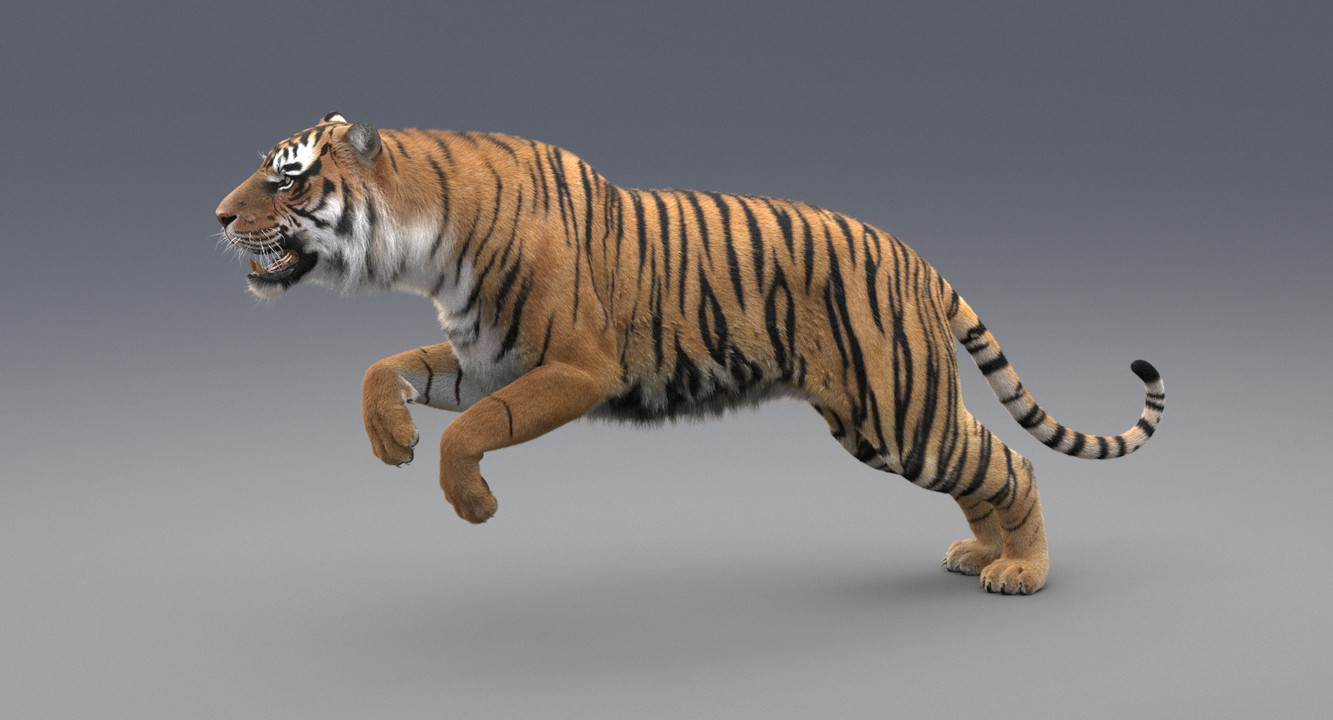 realistic rigged tiger fur 3d max