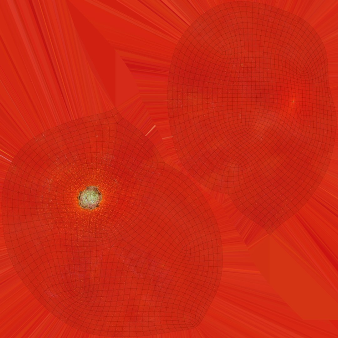 3D model Cherry Tomato - 3D Scanned https://p.turbosquid.com/ts-thumb/tc/gVimdC/kQ/cherrytomato01_e0004/png/1784315800/1920x1080/fit_q87/5701108e071d9349a9934e112e450598de01b4a0/cherrytomato01_e0004.jpg
