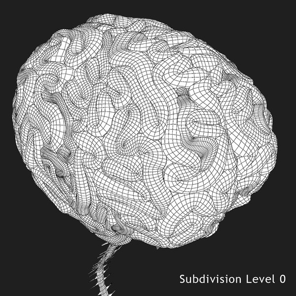 X-ray Brain Ma