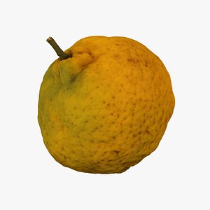 Tangerine - Extreme Definition 3D Scanned
