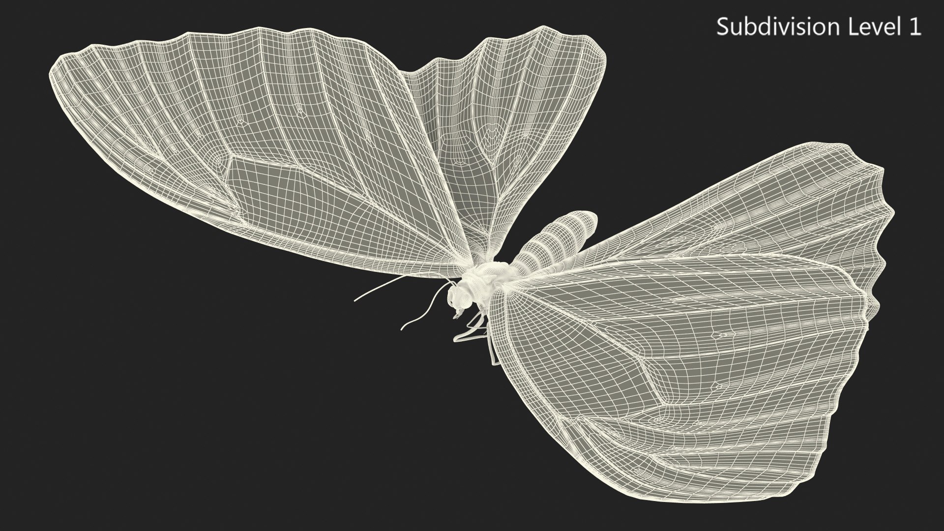 Animated Morpho Peleides Butterfly Flies Fur Rigged model https://p.turbosquid.com/ts-thumb/tc/xKAOCu/1l/animatedmorphopeleidesbutterflyfliesfurriggedvray3dmodel017/jpg/1640877389/1920x1080/fit_q87/f1477340debf3f74d0f0b8fdb4a7ad65d17de242/animatedmorphopeleidesbutterflyfliesfurriggedvray3dmodel017.jpg