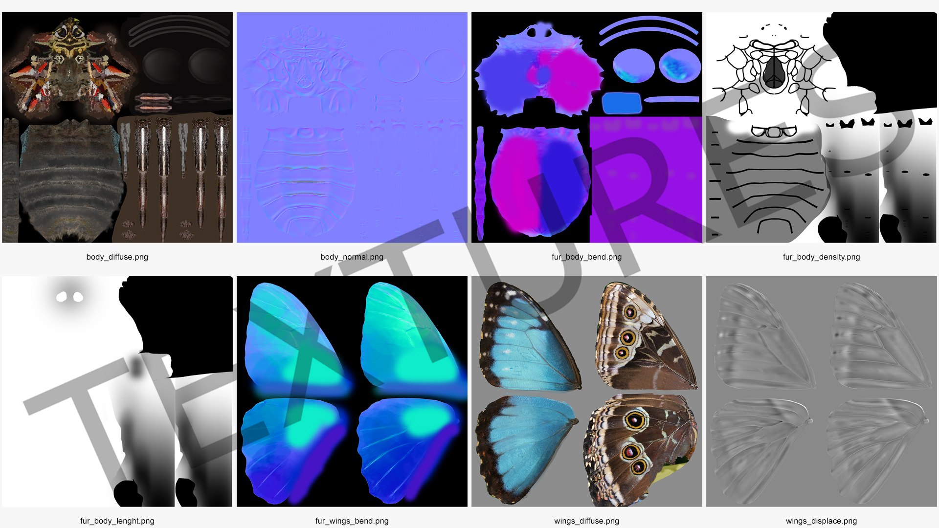 Animated Morpho Peleides Butterfly Flies Fur Rigged model https://p.turbosquid.com/ts-thumb/tc/xKAOCu/2d/animatedmorphopeleidesbutterflyfliesfurriggedvray3dmodel021/jpg/1640877401/1920x1080/fit_q87/e546d161f56e2ebd88a6f120d9362dfa2e75ba24/animatedmorphopeleidesbutterflyfliesfurriggedvray3dmodel021.jpg