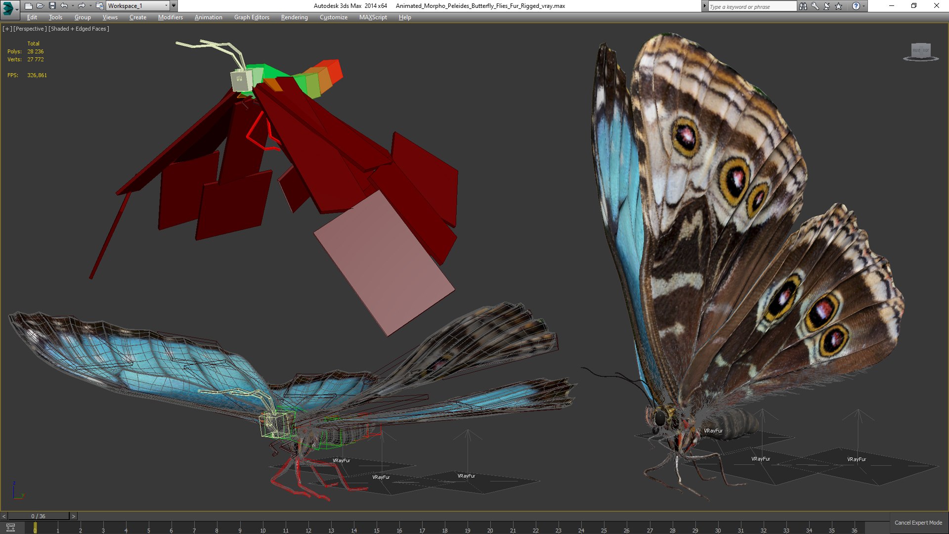 Animated Morpho Peleides Butterfly Flies Fur Rigged model https://p.turbosquid.com/ts-thumb/tc/xKAOCu/BS/animatedmorphopeleidesbutterflyfliesfurriggedvray3dmodel019/jpg/1640877395/1920x1080/fit_q87/a52819f0476f926606f4c8d0d01f7a33ed8ea3f1/animatedmorphopeleidesbutterflyfliesfurriggedvray3dmodel019.jpg