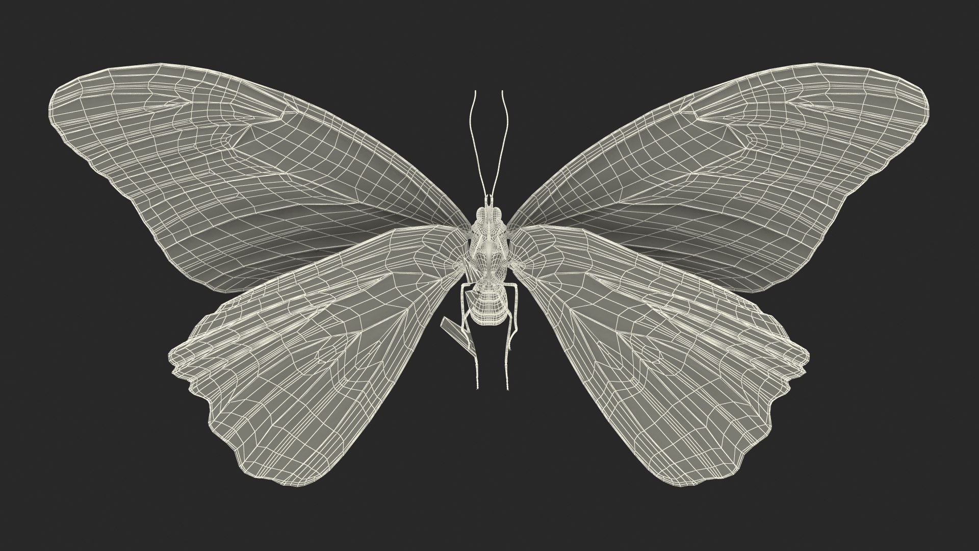 Animated Morpho Peleides Butterfly Flies Fur Rigged model https://p.turbosquid.com/ts-thumb/tc/xKAOCu/KC/animatedmorphopeleidesbutterflyfliesfurriggedvray3dmodel023/jpg/1640877407/1920x1080/fit_q87/0dd070ae064fe22db7af13c0867349d1f340698d/animatedmorphopeleidesbutterflyfliesfurriggedvray3dmodel023.jpg