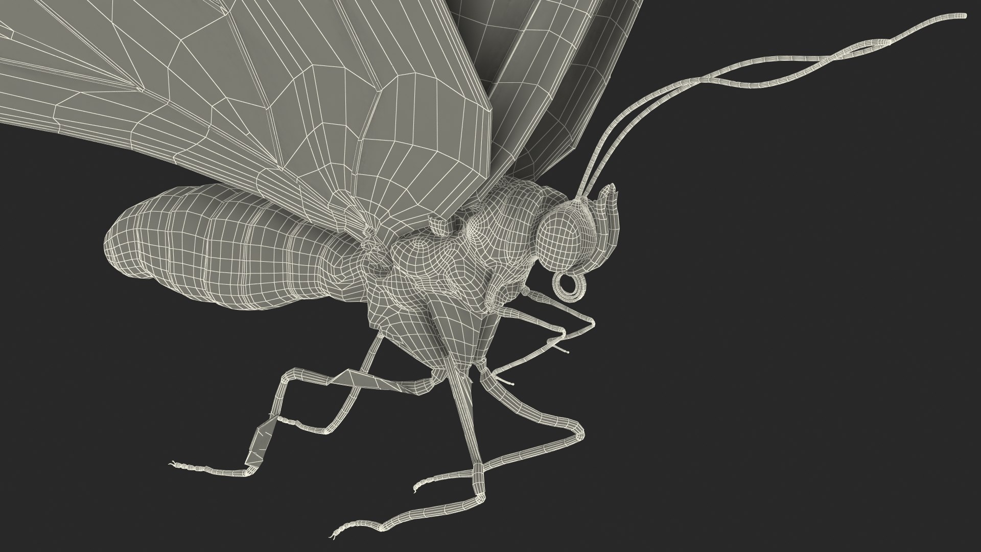Animated Morpho Peleides Butterfly Flies Fur Rigged model https://p.turbosquid.com/ts-thumb/tc/xKAOCu/i1/animatedmorphopeleidesbutterflyfliesfurriggedvray3dmodel025/jpg/1640877413/1920x1080/fit_q87/23b7cd18aec5c5fedee11d8201ff5eaf812033b8/animatedmorphopeleidesbutterflyfliesfurriggedvray3dmodel025.jpg