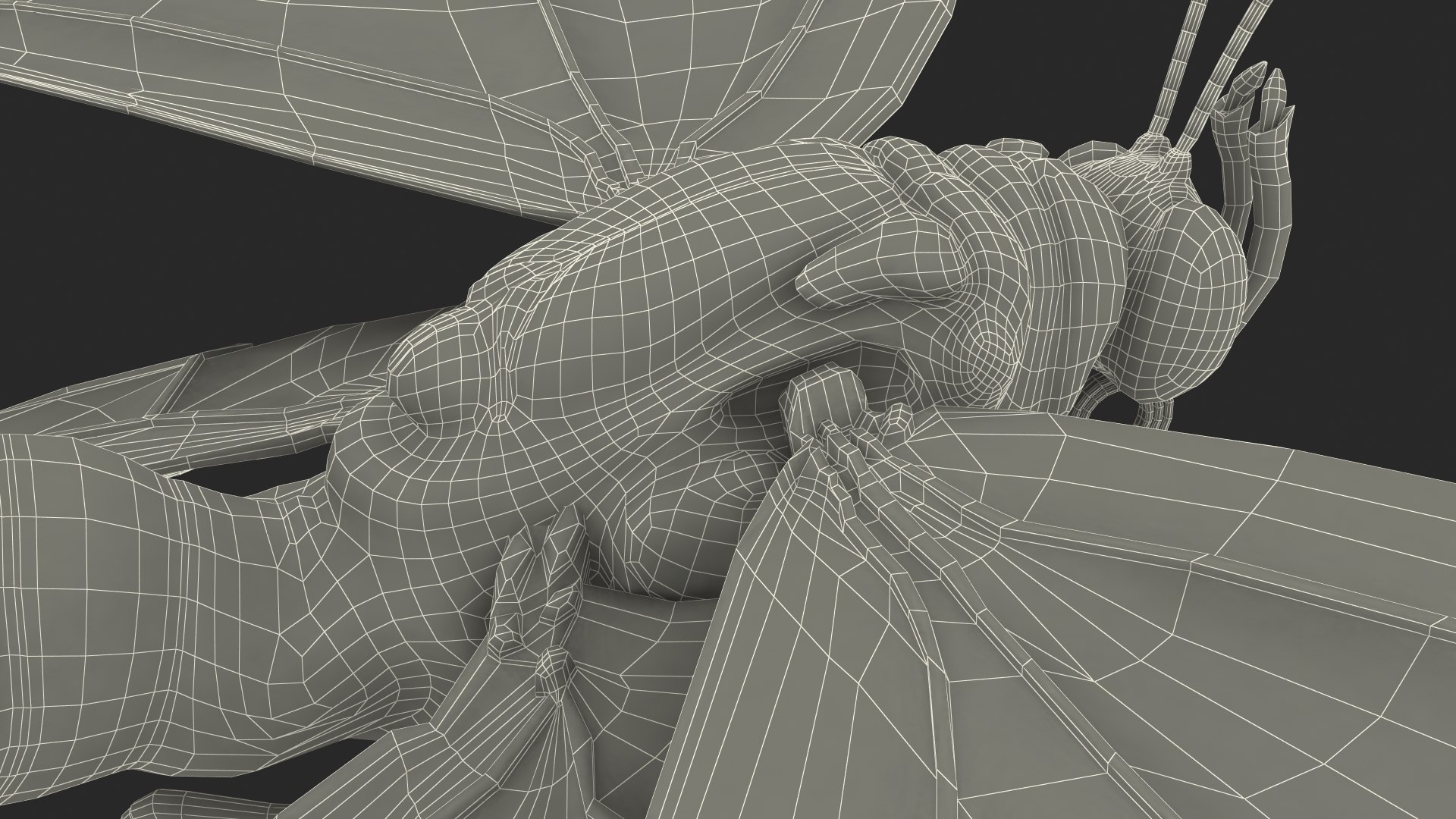 Animated Morpho Peleides Butterfly Flies Fur Rigged model https://p.turbosquid.com/ts-thumb/tc/xKAOCu/pG/animatedmorphopeleidesbutterflyfliesfurriggedvray3dmodel026/jpg/1640877417/1920x1080/fit_q87/bccf1ae06b09b2601a1f8e1750a7514c67374095/animatedmorphopeleidesbutterflyfliesfurriggedvray3dmodel026.jpg
