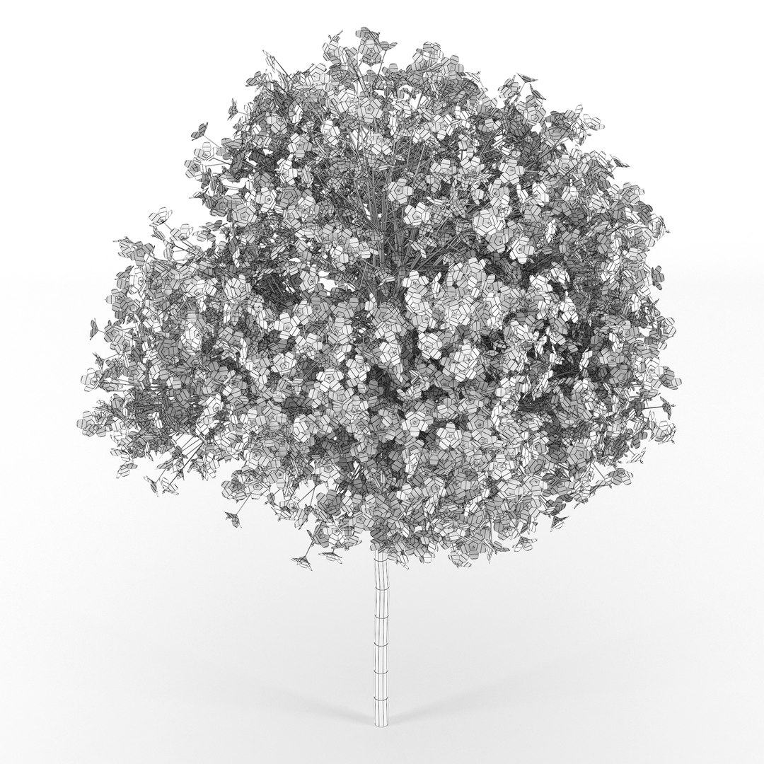 3D Hibiscus Model - TurboSquid 1321154