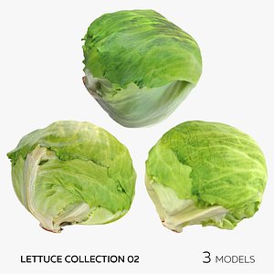 Lettuce Collection 02 - 3 models 3D model