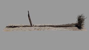 Dead Tree 009