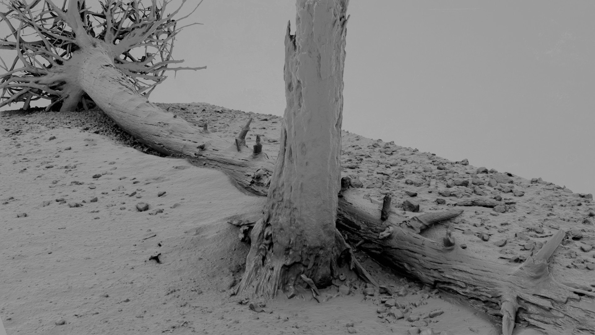 3D Dead Tree 009 Model - TurboSquid 2370873