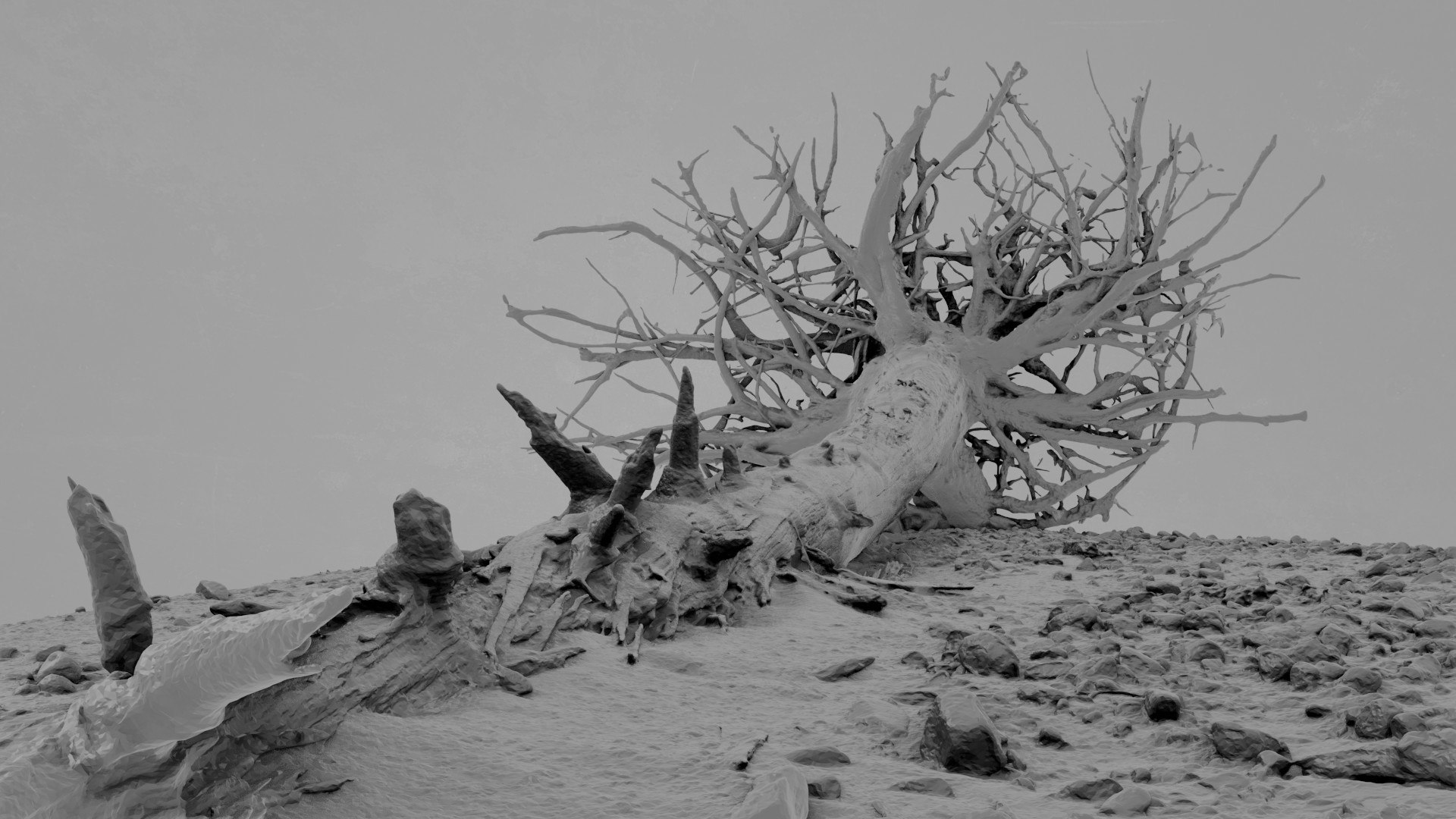 3D Dead Tree 009 Model - TurboSquid 2370873