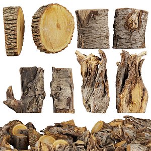 3D 3D Scanned Wood 02- High-Resolution - high poly - low poly