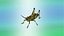 Grasshopper