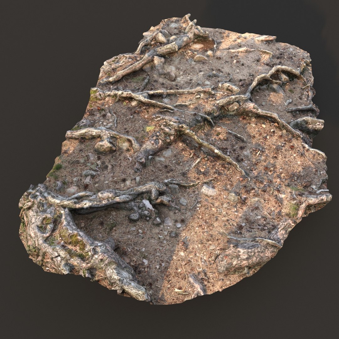 3D Nature Ground Scan 001 - TurboSquid 1396729