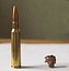 BULLET