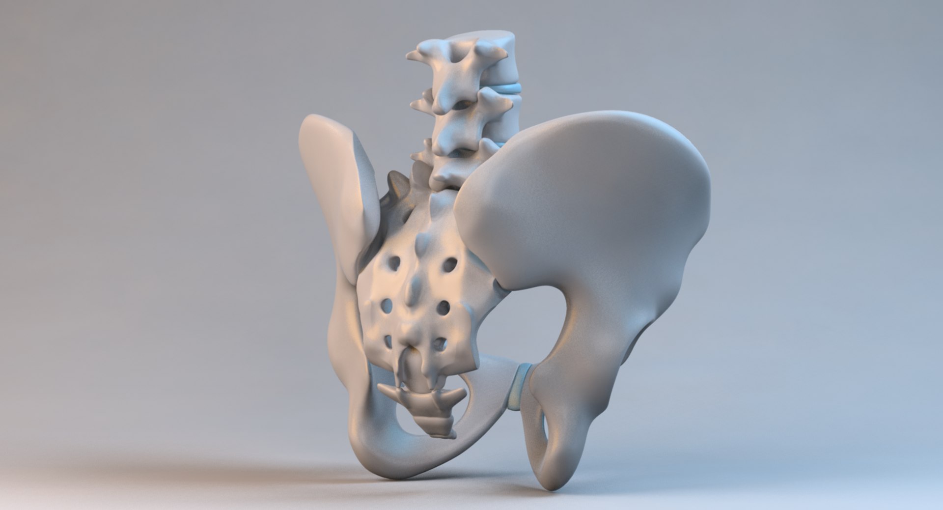3ds max male details https://p.turbosquid.com/ts-thumb/td/b1ZijE/C5XoOMN2/male_pelvis_col_v01.16/png/1430698719/1920x1080/fit_q87/a3617e2a8116b8550f9c38c3b1a5be8e578e8a9d/male_pelvis_col_v01.16.jpg
