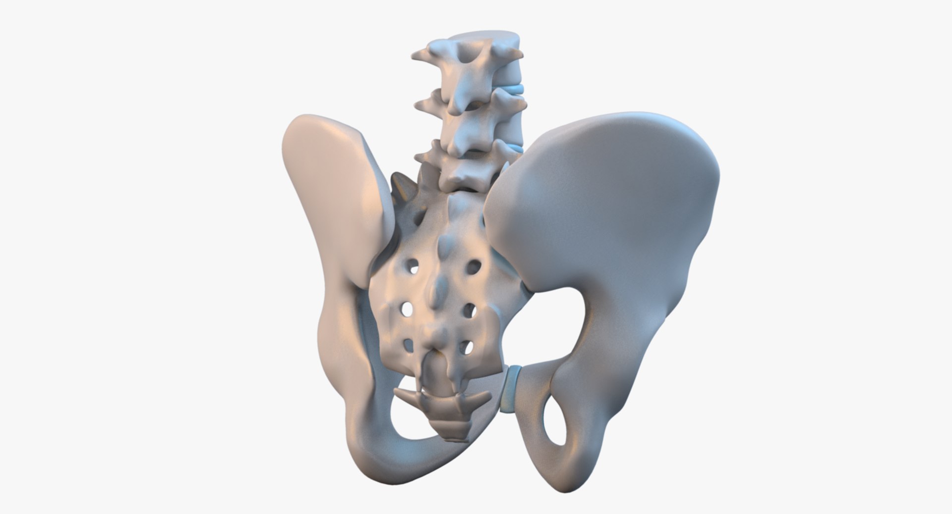 3ds max male details https://p.turbosquid.com/ts-thumb/td/b1ZijE/Sz5jFGA3/male_plvis_col_v16/png/1430698719/1920x1080/fit_q87/9fa18453fcbb8908e0c5aa48fe02aacc88eae67f/male_plvis_col_v16.jpg